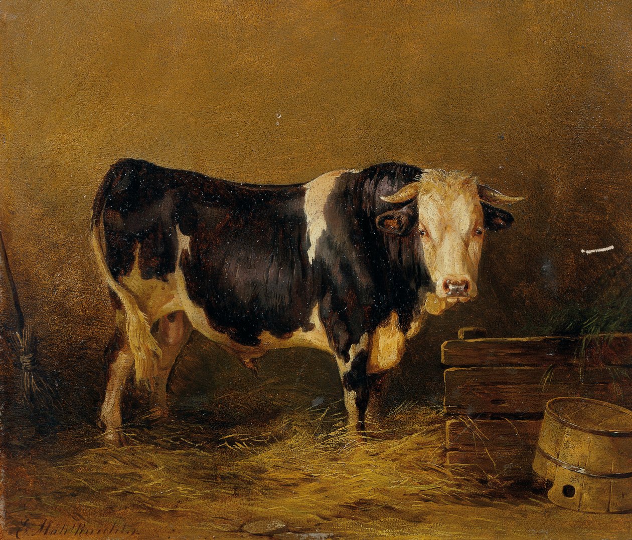 Stier im Stall von Edmund Mahlknecht