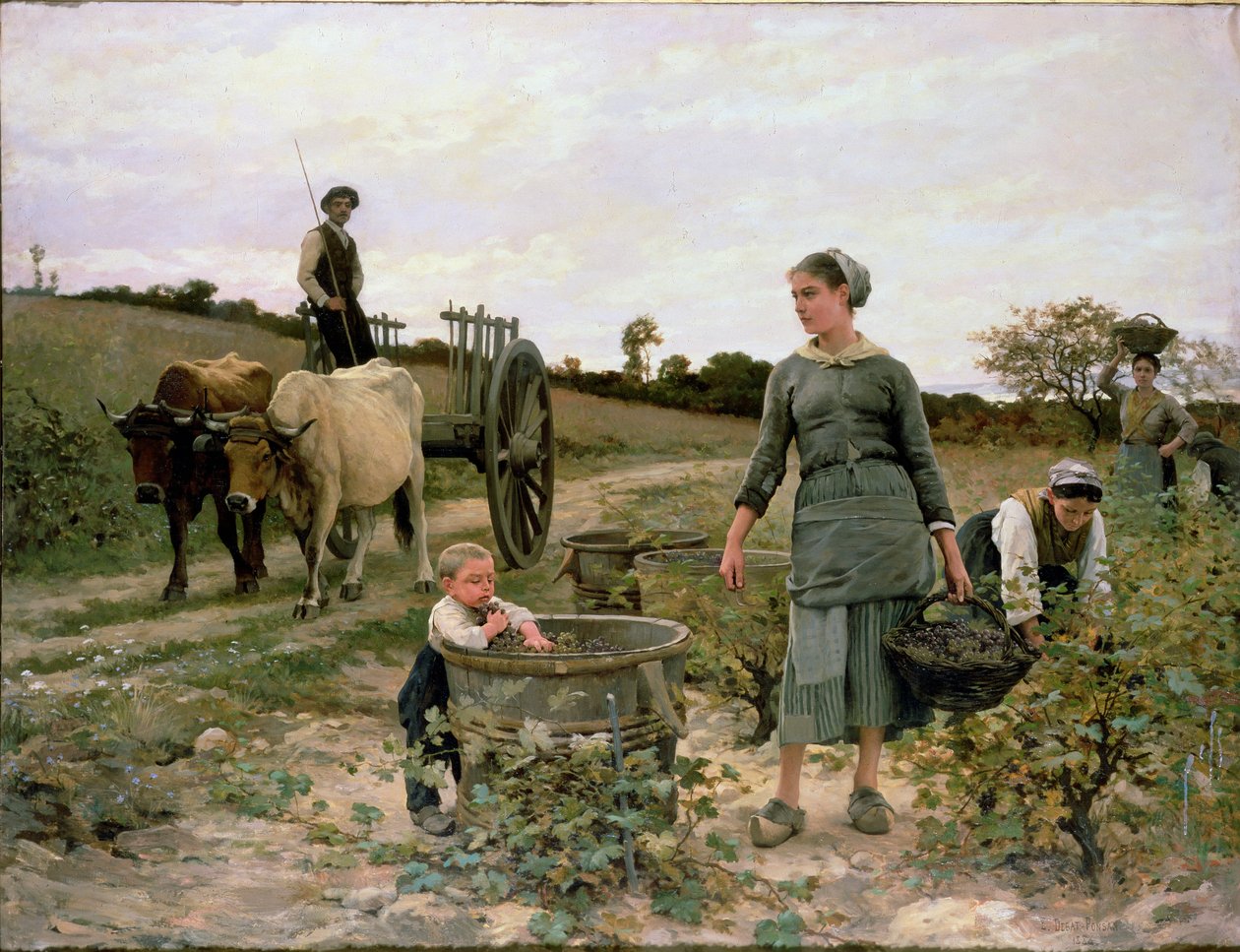 Ecke eines Weinbergs, Languedoc, 1886 von Edouard Debat Ponsan