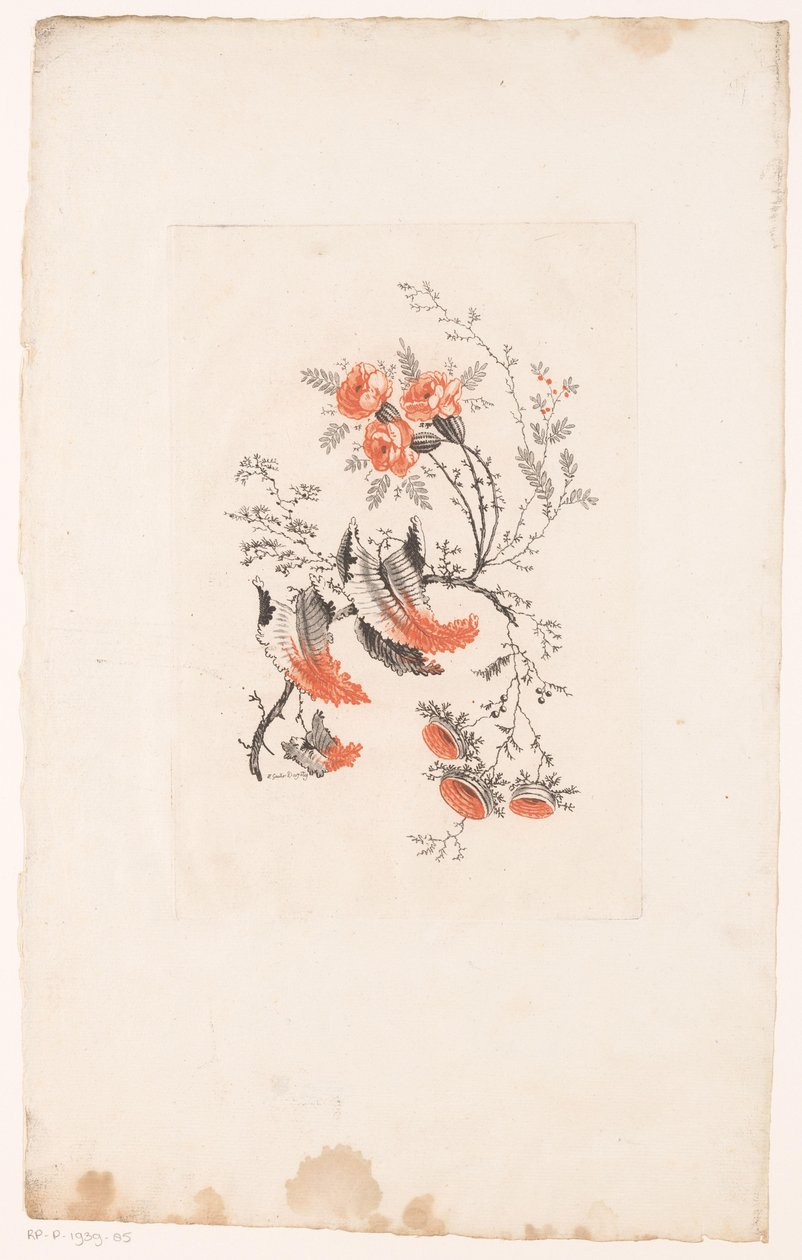 Diverse Fantasieblumen (Fleurs Idéales) von Edouard Gautier Dagoty