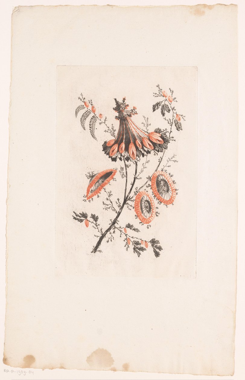 Blumen in Schirmform von Edouard Gautier Dagoty