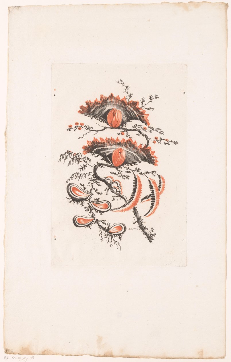 Fächerförmige Blumen von Edouard Gautier Dagoty