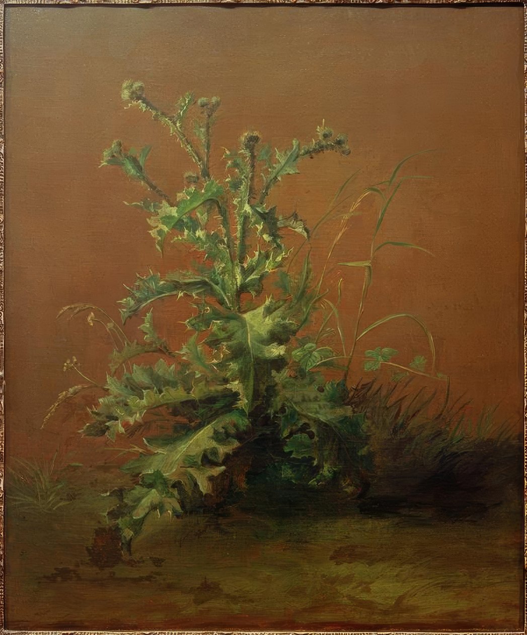 Die Distel von Édouard Manet
