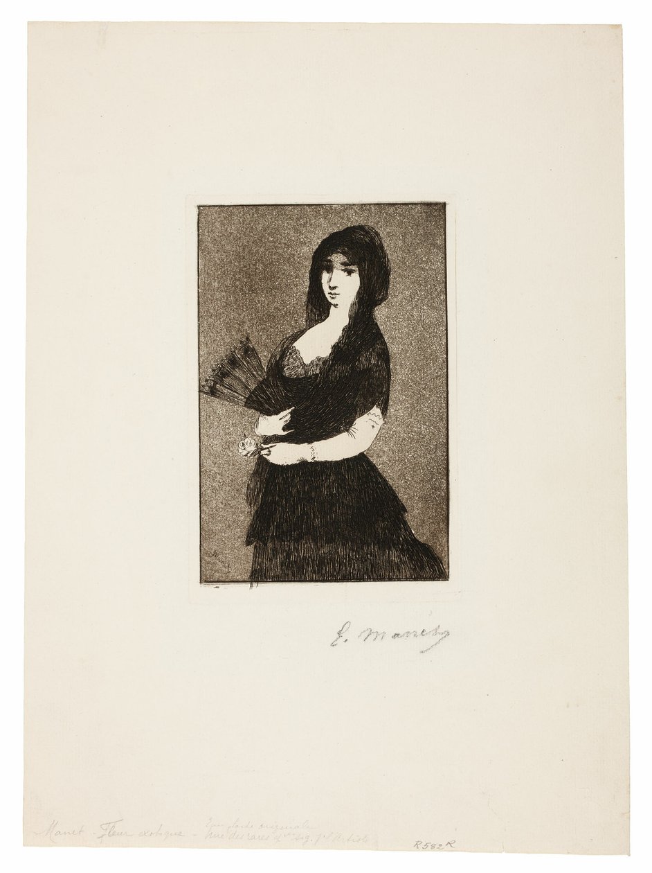 Exotische Blume (Frau in einer Mantilla) von Édouard Manet
