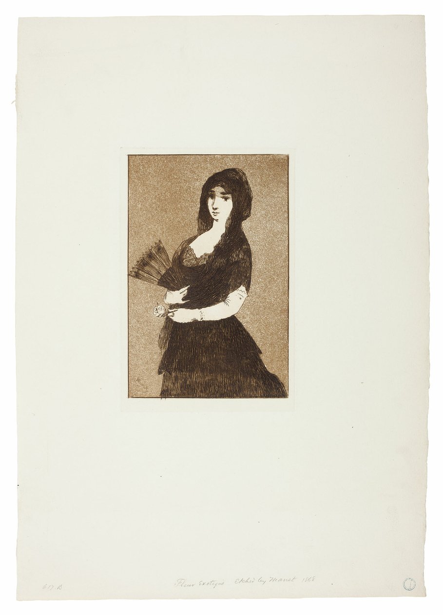 Exotische Blume (Frau in einer Mantilla) von Édouard Manet