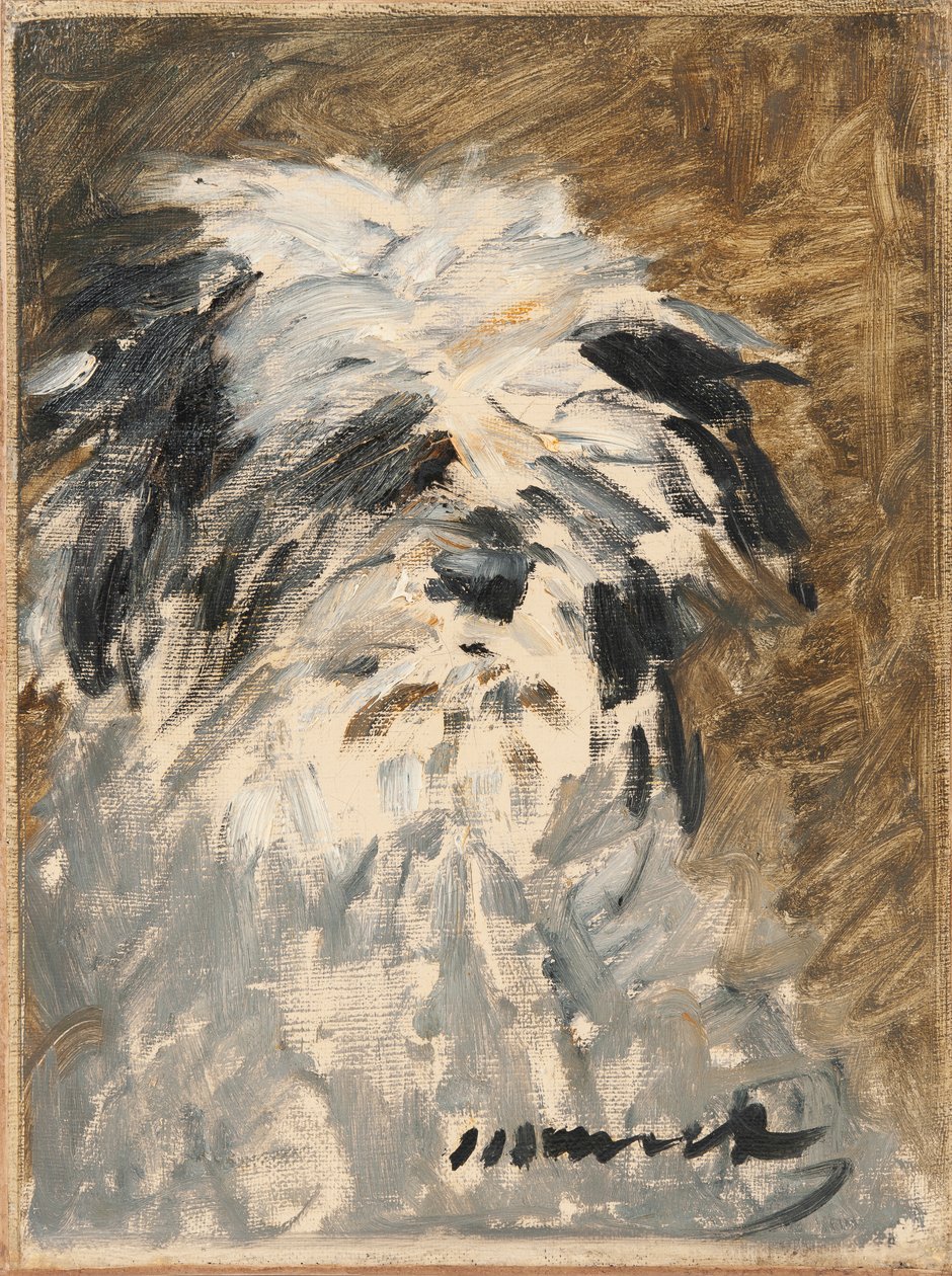 Minnay von Édouard Manet