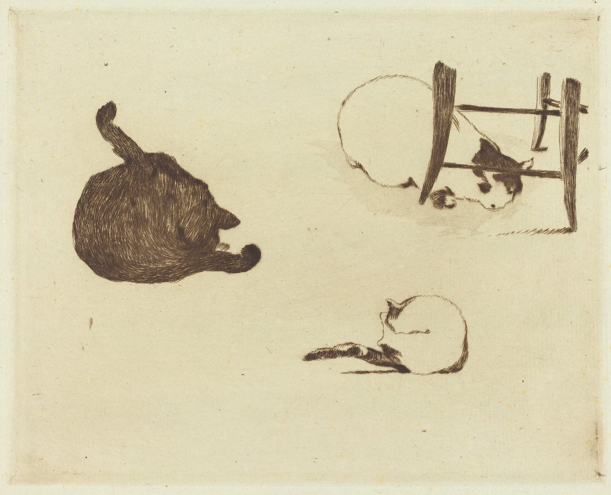 Die Katzen von Édouard Manet