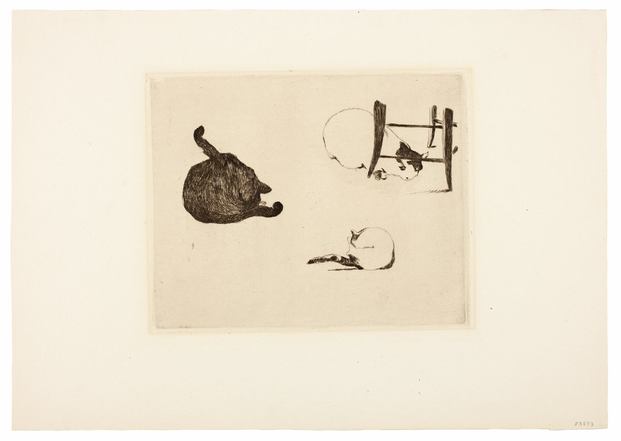 Die Katzen von Édouard Manet
