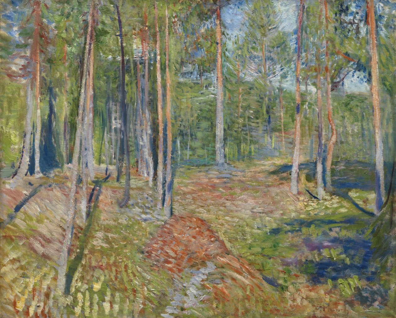 Kiefernwald, 1891-1892 von Edvard Munch