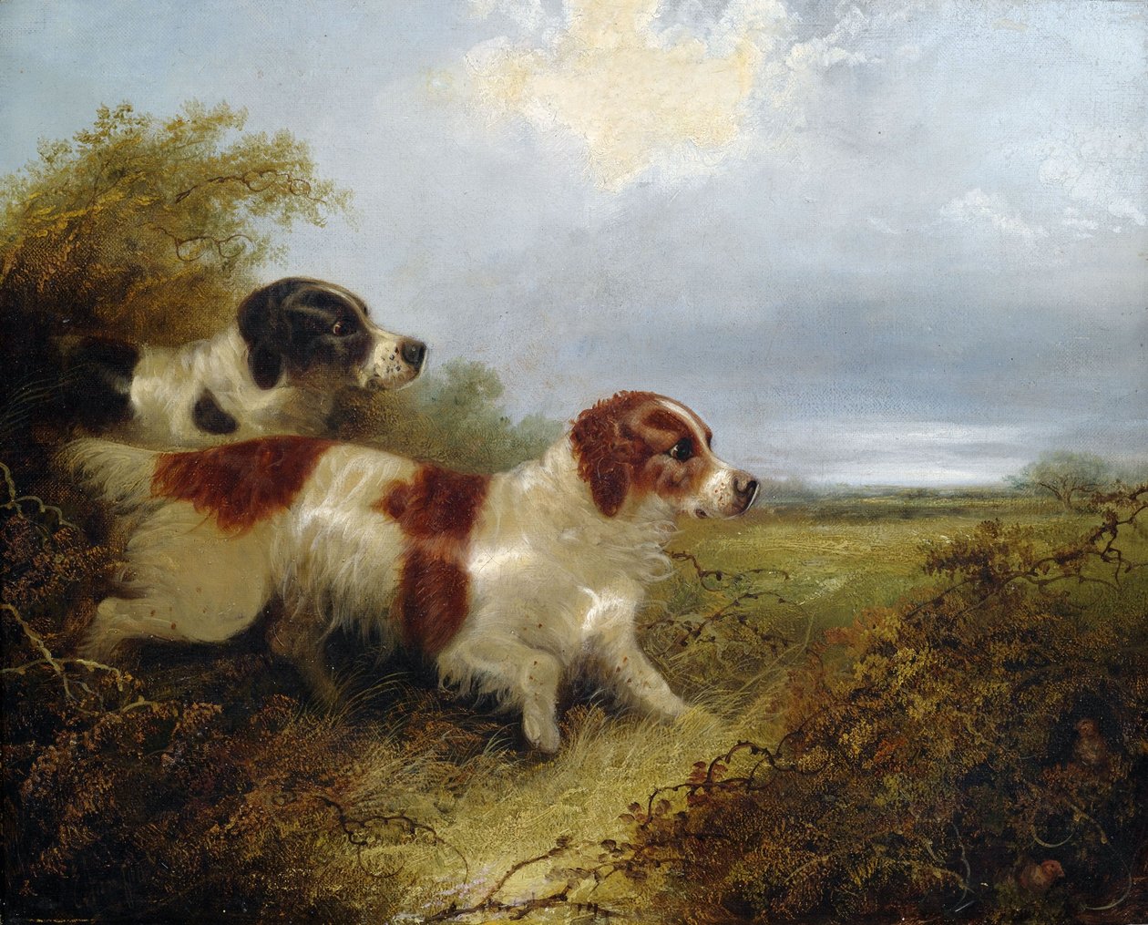 Zwei Terrier von Edward Armfield