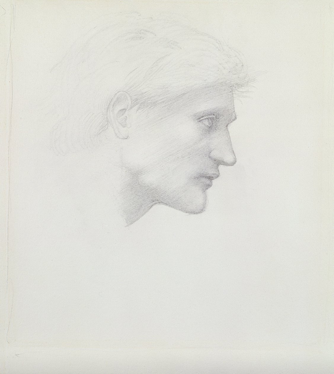 Alessandro di Marco - Kopfstudie von Edward Burne Jones
