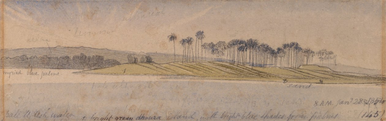 Dhoura-Insel von Edward Lear