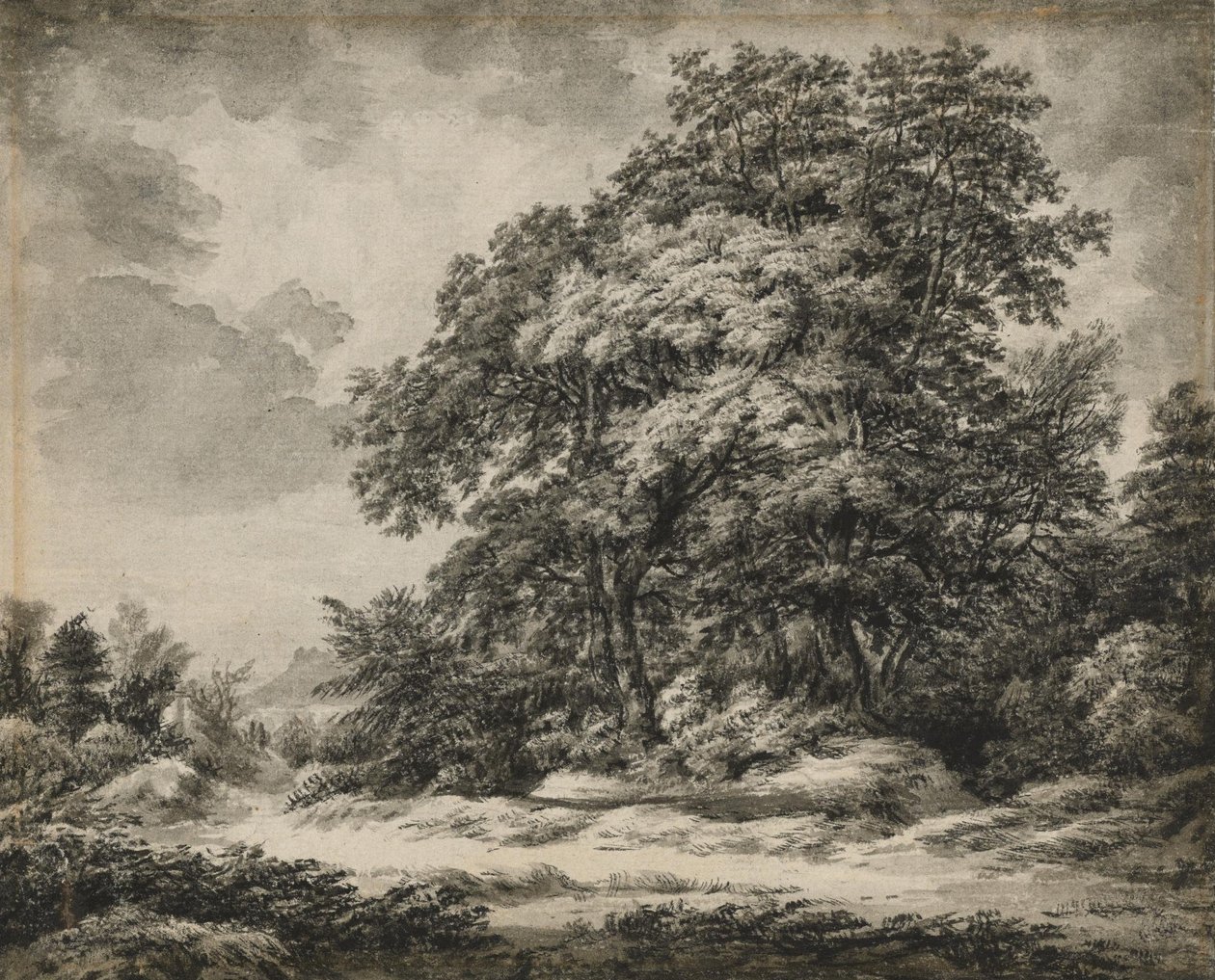 Waldlandschaft von Edward Lear