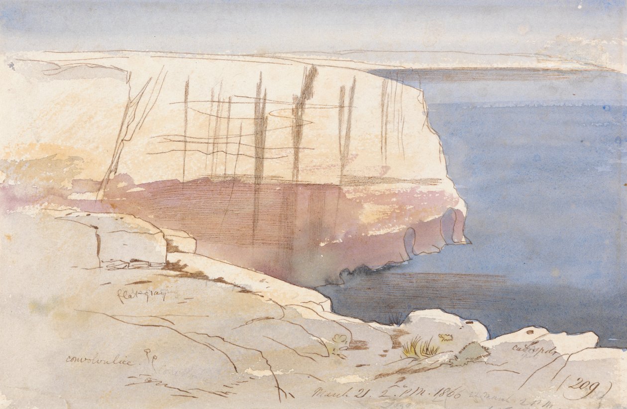 Gozo, in der Nähe von Malta von Edward Lear