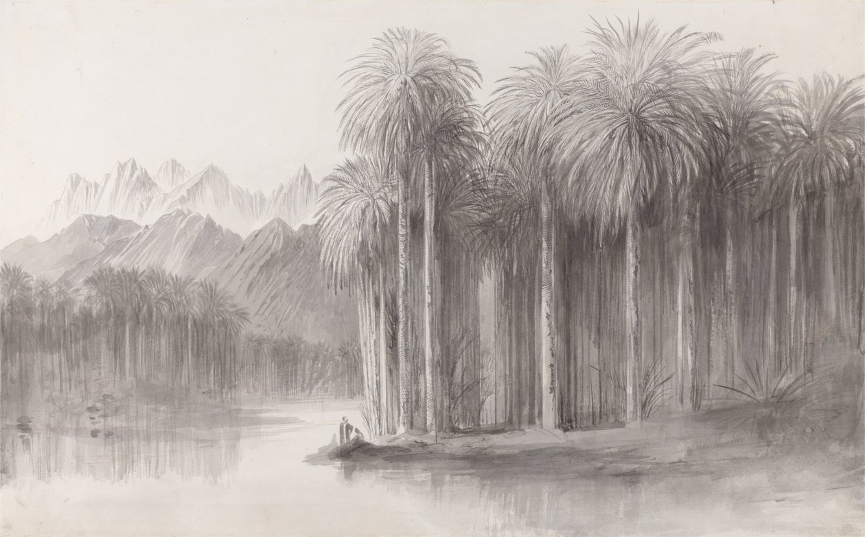 Wady Feiran, Halbinsel des Sinai von Edward Lear