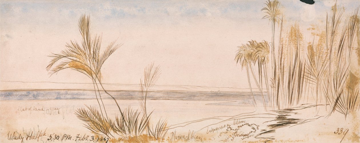 Wady Halfeh von Edward Lear