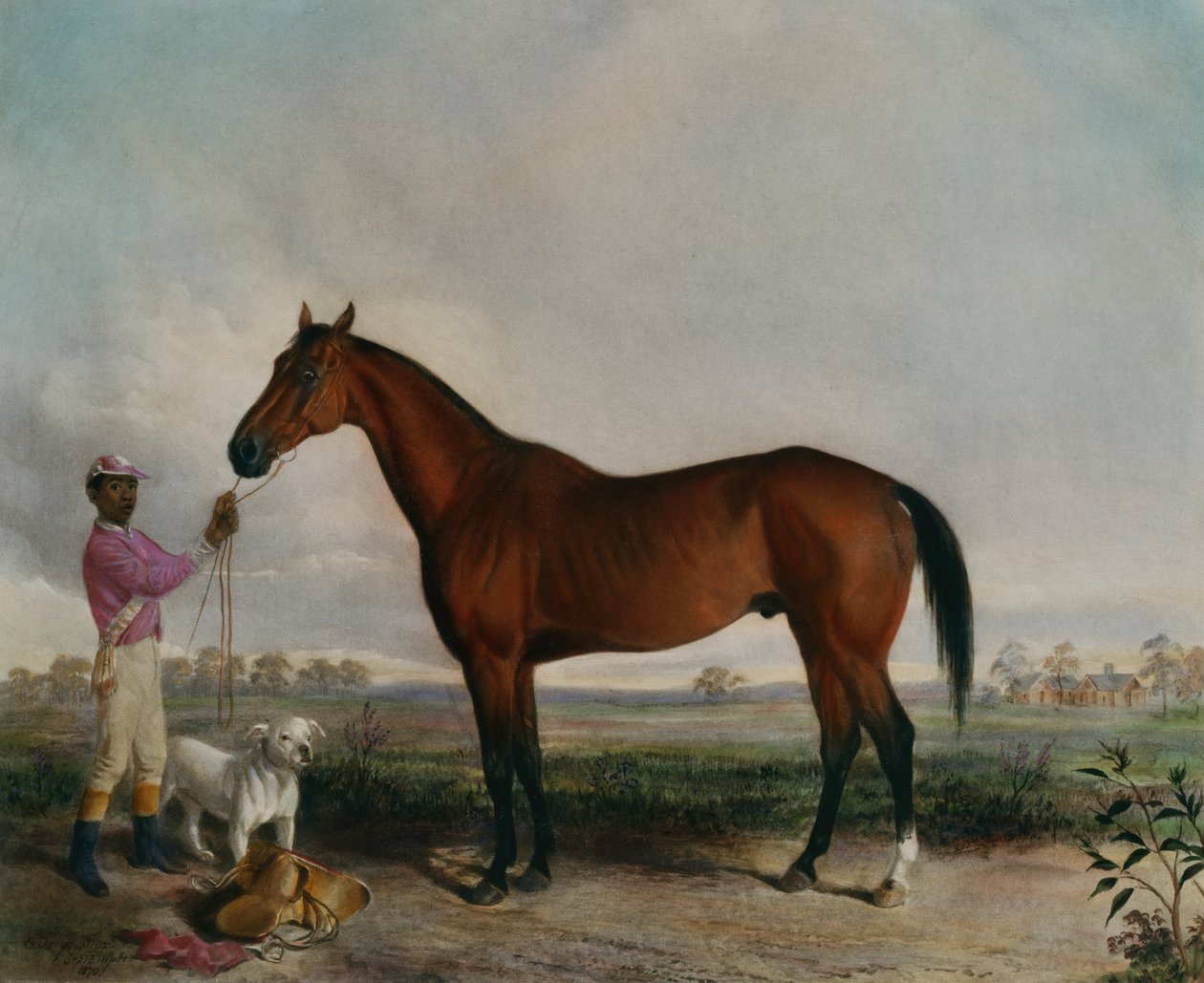 Enquirer, Braunes Pferd von Edward (after) Troye