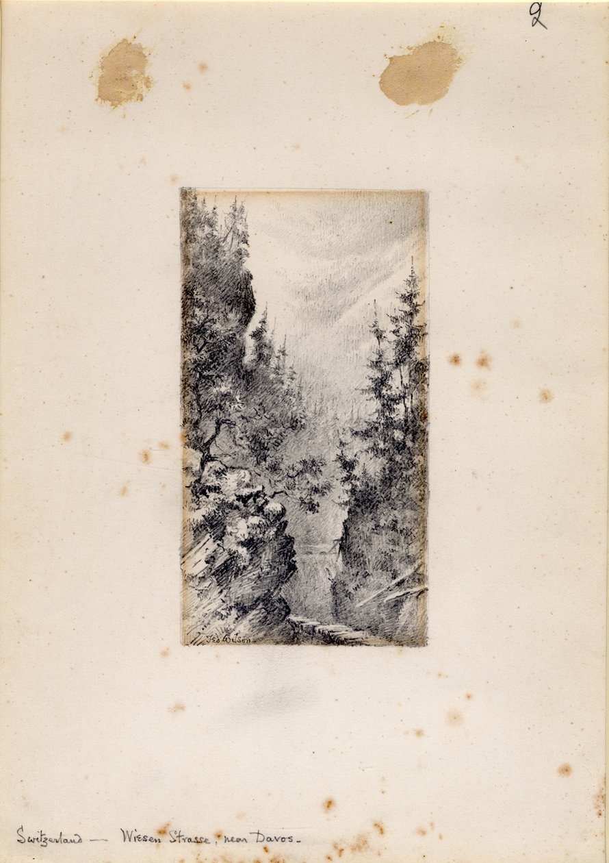 Wiesenstraße bei Davos, Schweiz, 1898-99 von Edward Adrian Wilson