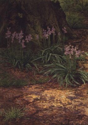 Blaue Glockenblumen von Edward Clifford
