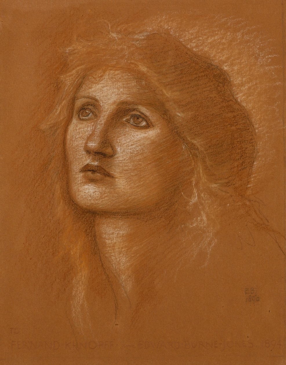 Kopf einer Frau, 1890 von Edward Burne Jones