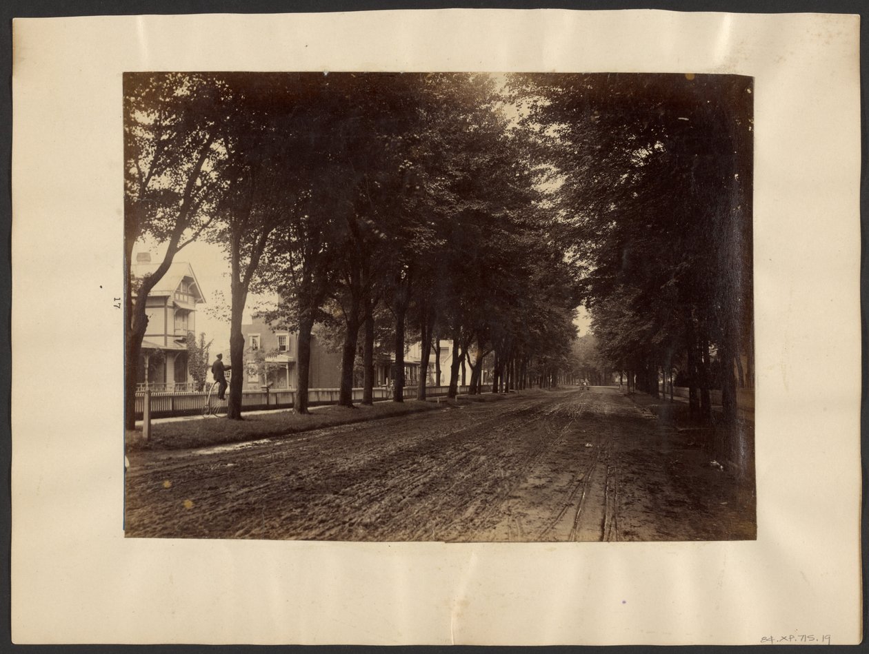 [Baumgesäumte Straße] von Edward H. Hart