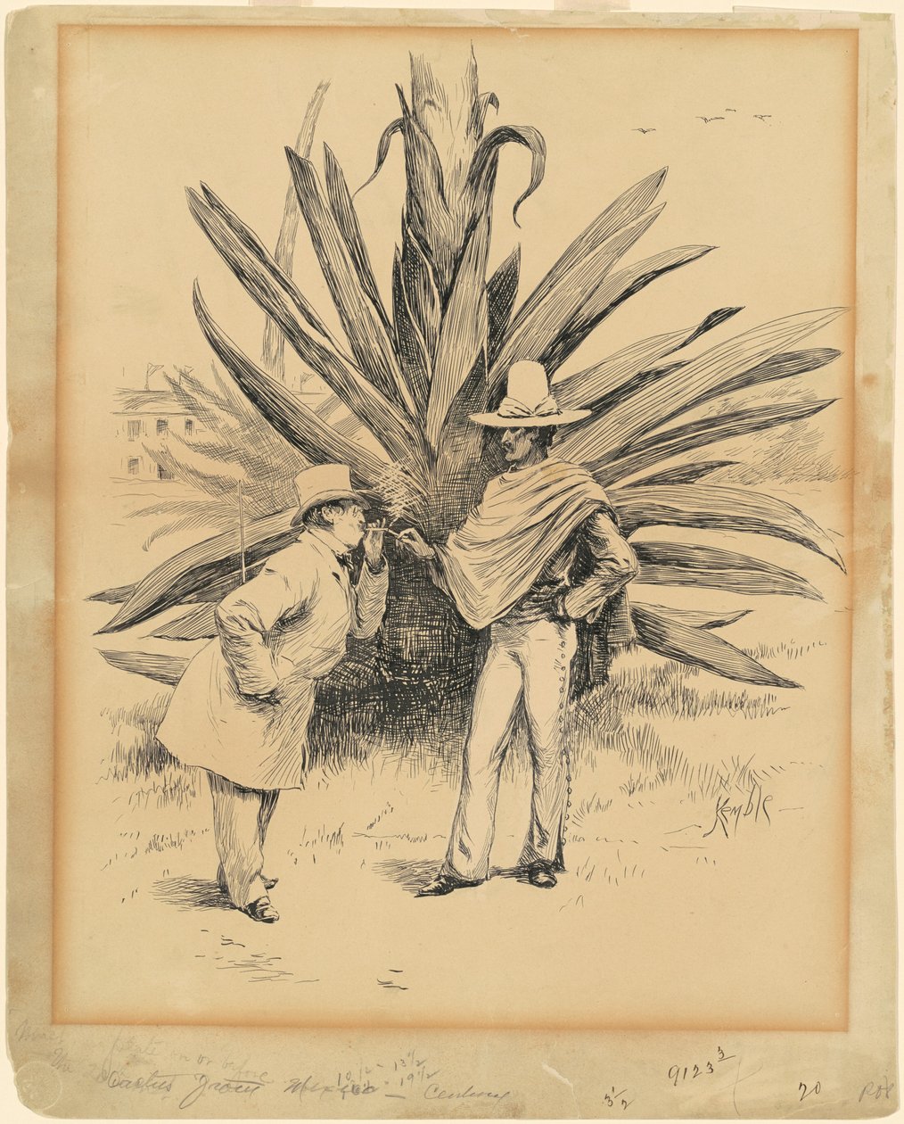 Kaktus aus Mexiko von Edward Kemble