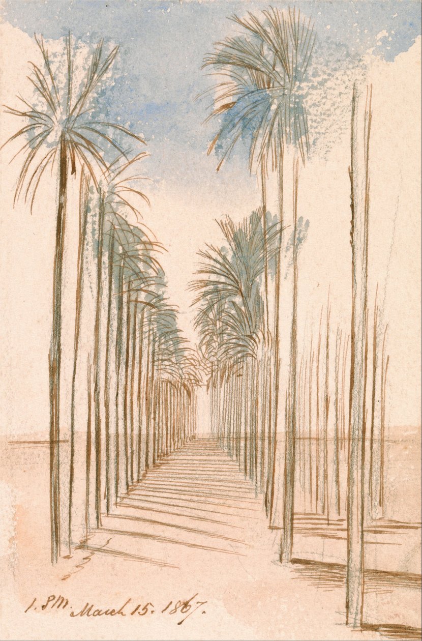 Allee der Bäume von Edward Lear
