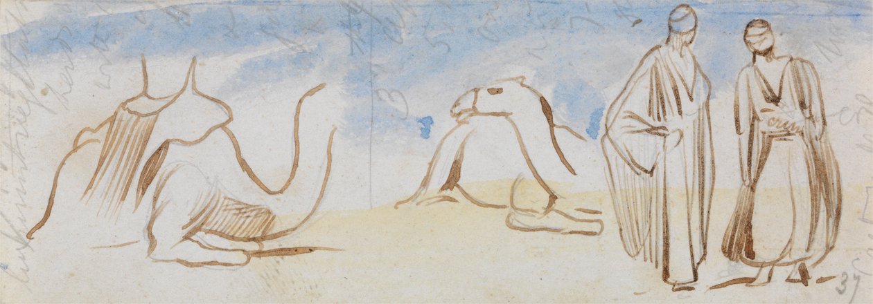 Studien von Kamelen und ägyptischen Männern von Edward Lear