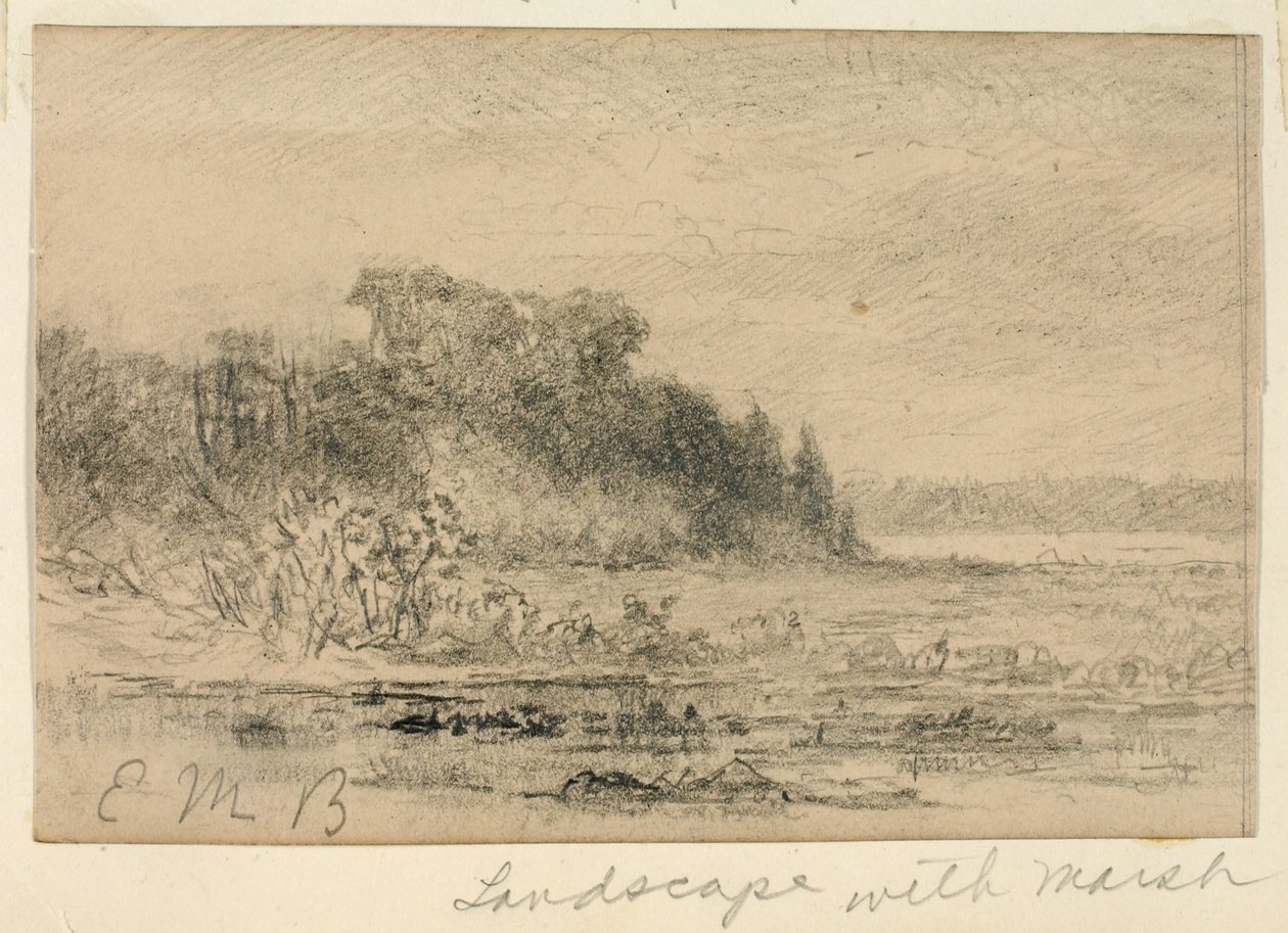 Landschaft mit Sumpf von Edward Mitchell Bannister