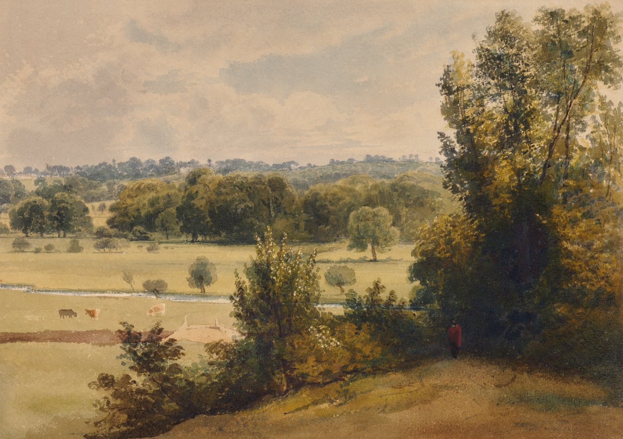 Landschaft mit Bäumen und Feldern von Edward Pretty