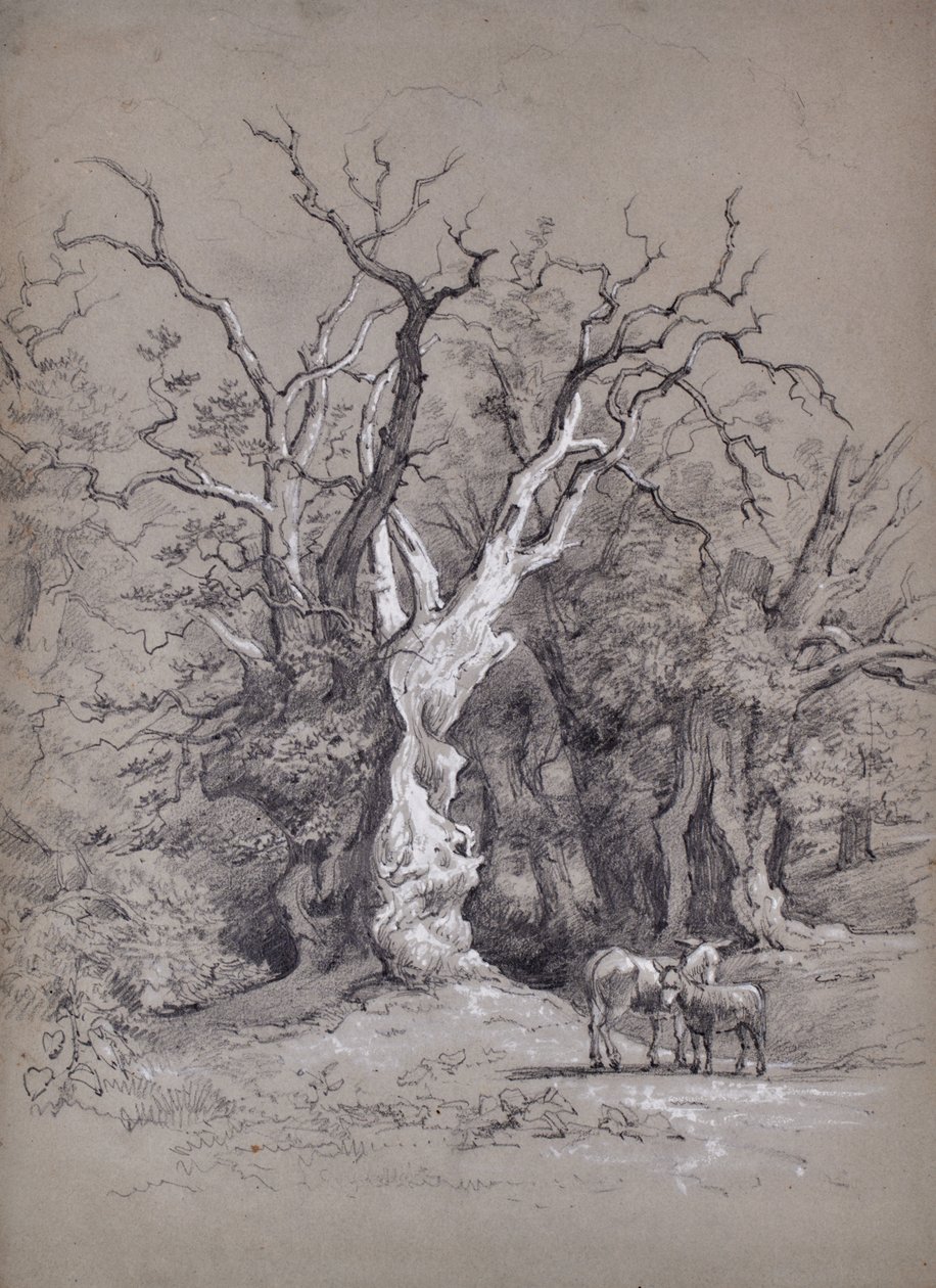 Landschaft mit Baum von Edward Pretty