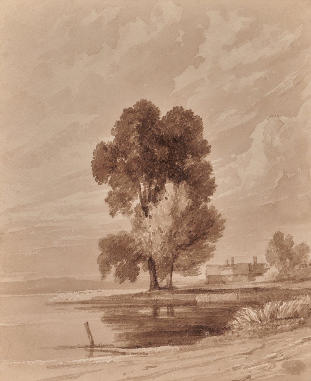 Landschaft mit Bäumen von Edward Pretty