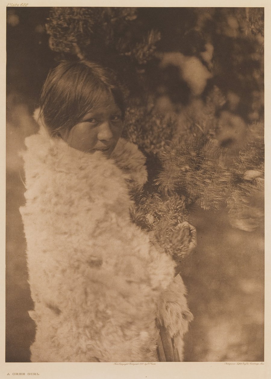 Ein Cree Mädchen von Edward Sheriff Curtis