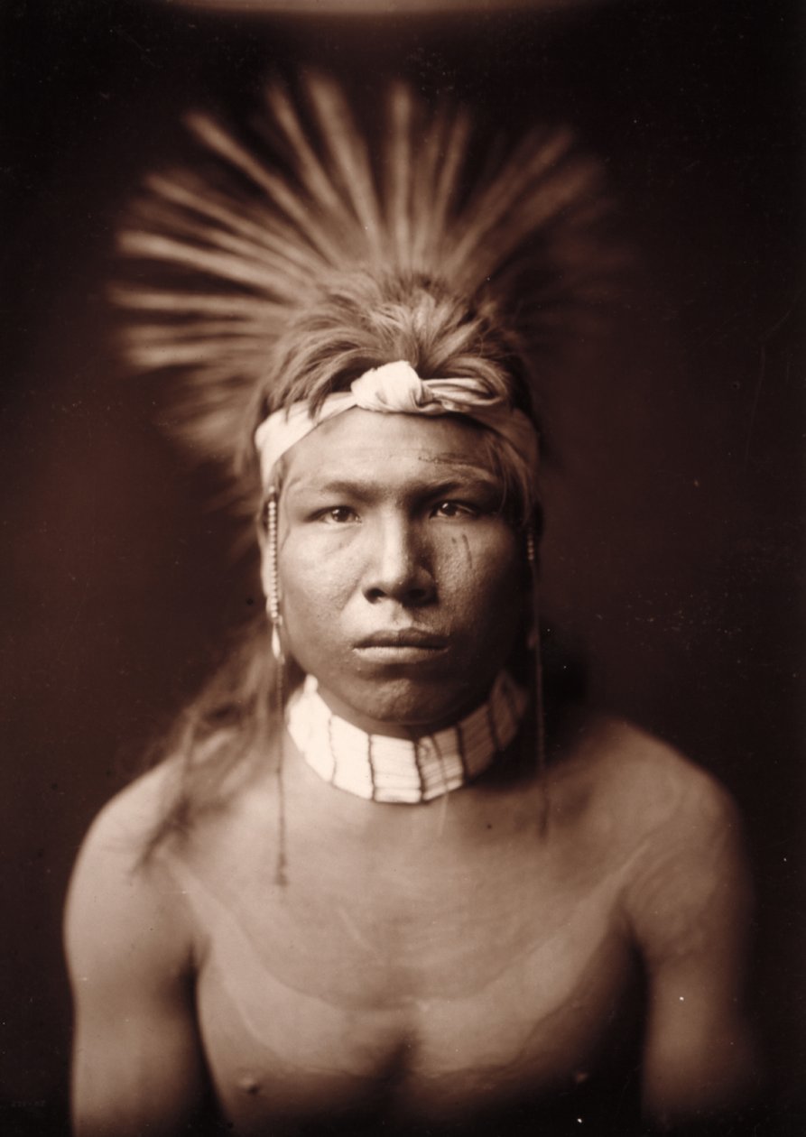 Schwarzes Haar von Edward Sheriff Curtis