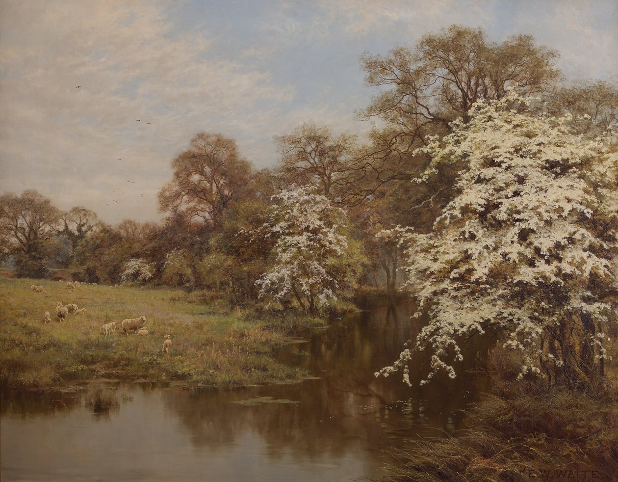 Weißdornblüte von Edward Wilkins Waite