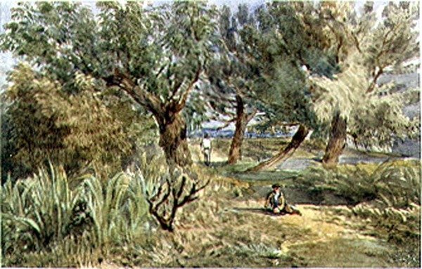 Battersea Fields von Edward attr. to Bragg