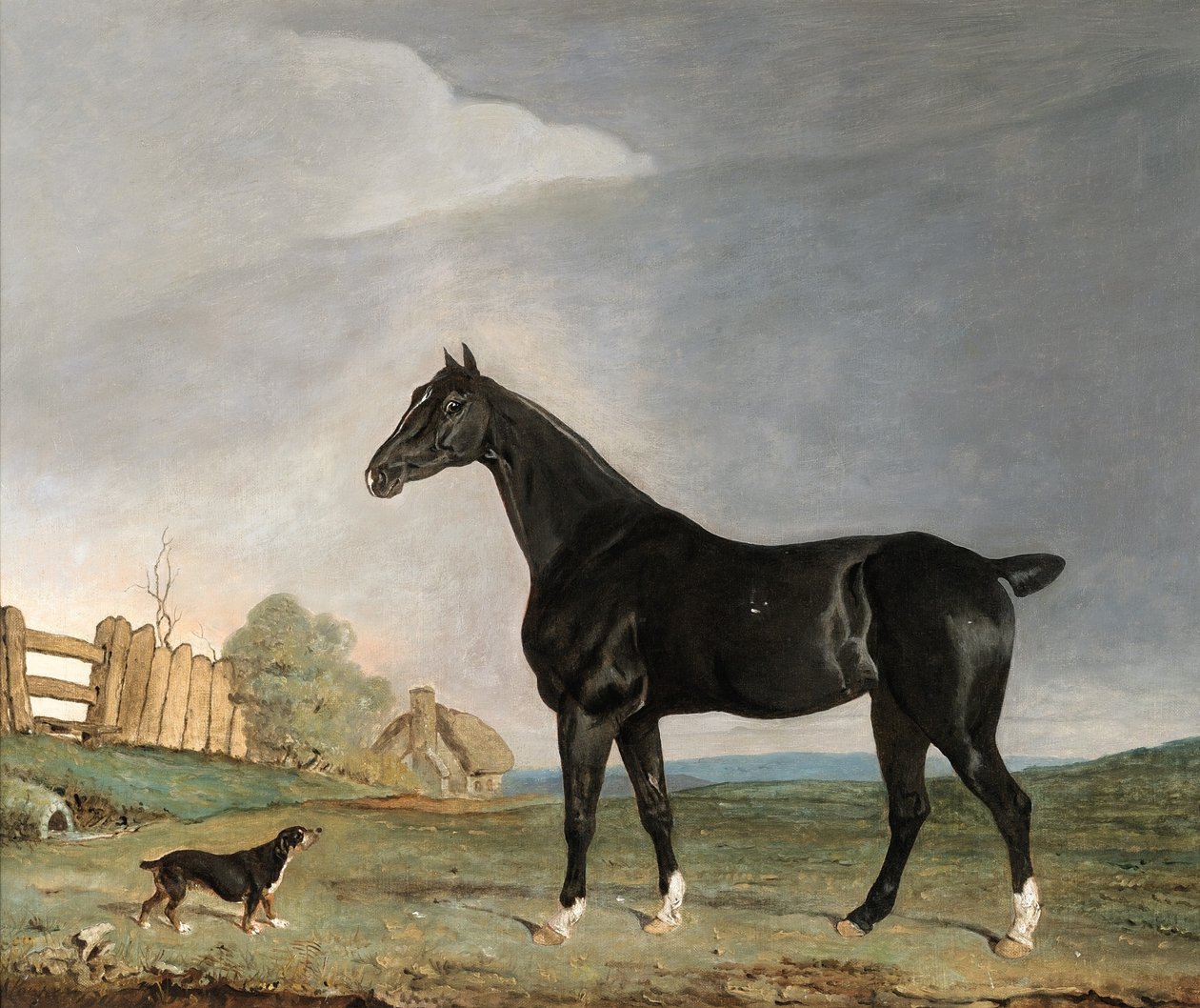 Ein dunkelbraunes Pferd und ein Terrier in einer Landschaft von Edwin W. Cooper
