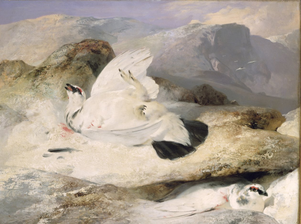 Schneehuhn von Edwin Landseer