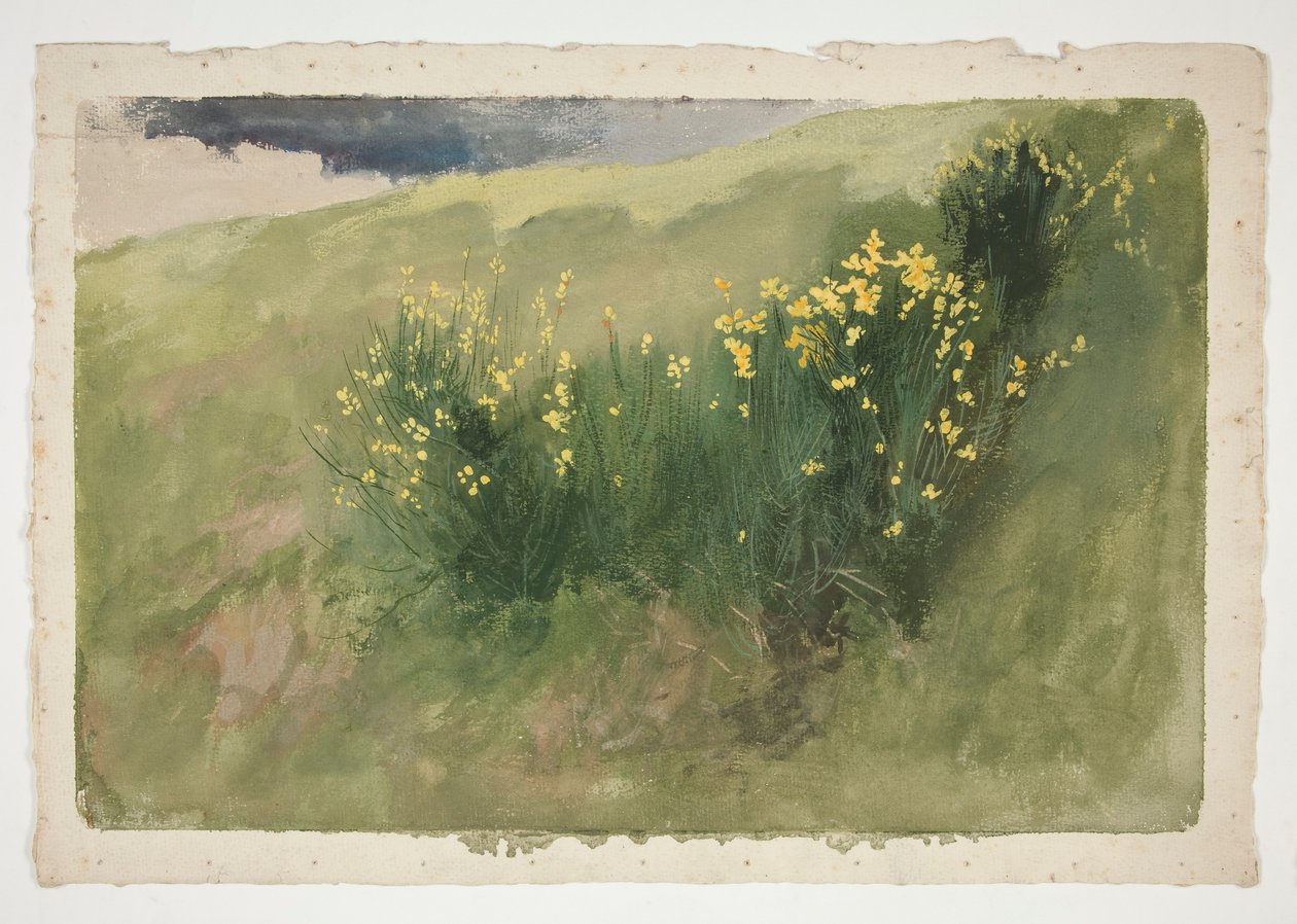 Landschaft mit Wildblumen von Edwin Austin Abbey
