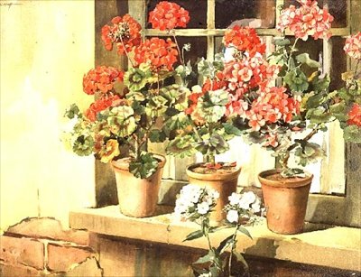 Geranien von Edwin Byatt