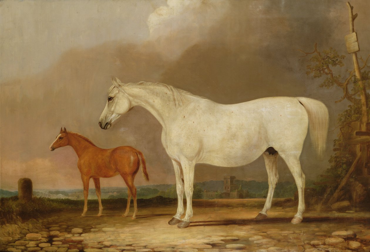 Unbekanntes Bild von Edwin Cooper