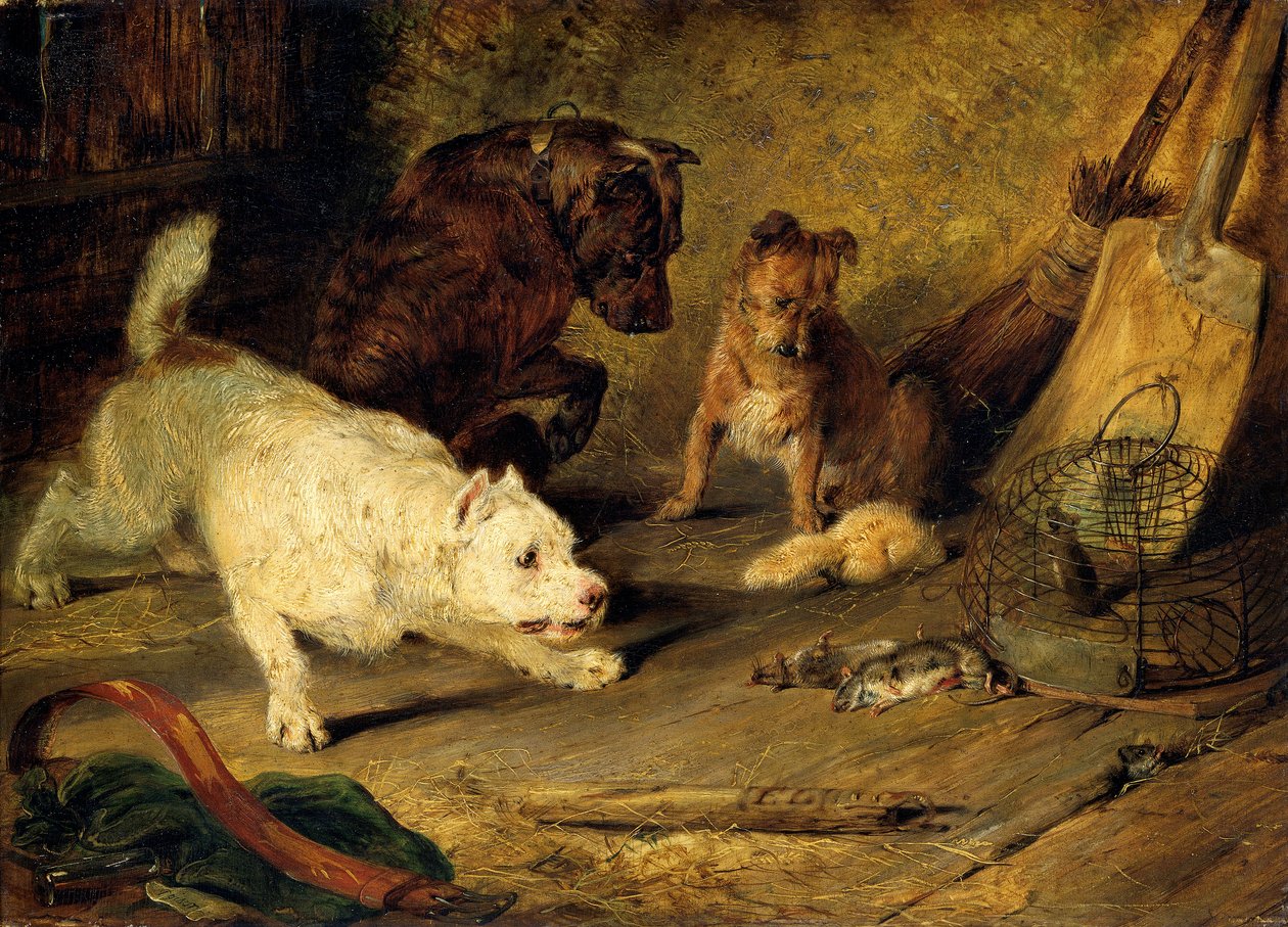 Rattenfänger von Edwin Henry Landseer