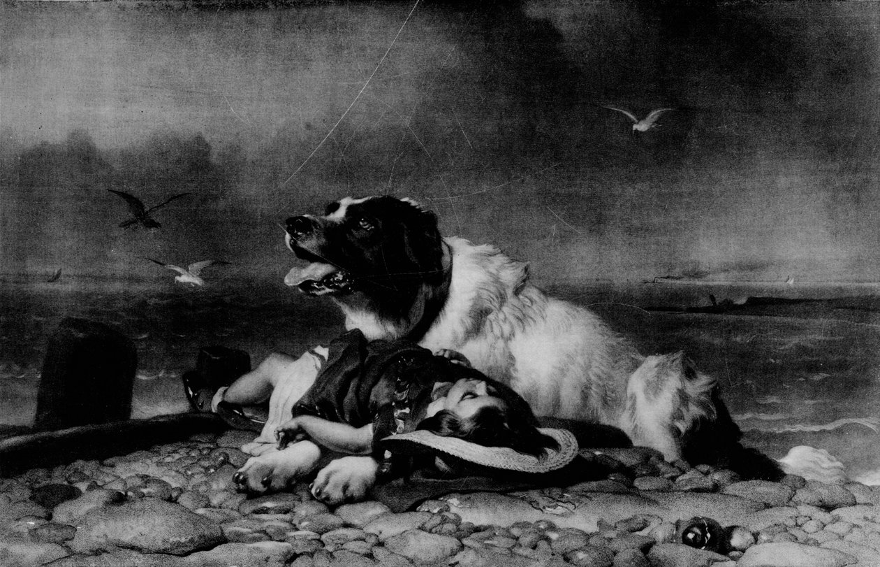 Gerettet!, um 1856 von Edwin Landseer