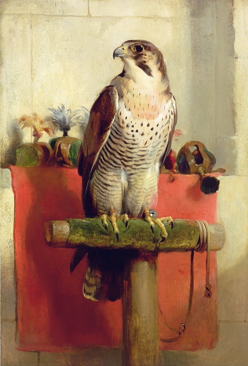 Falke, 1837 von Edwin Landseer