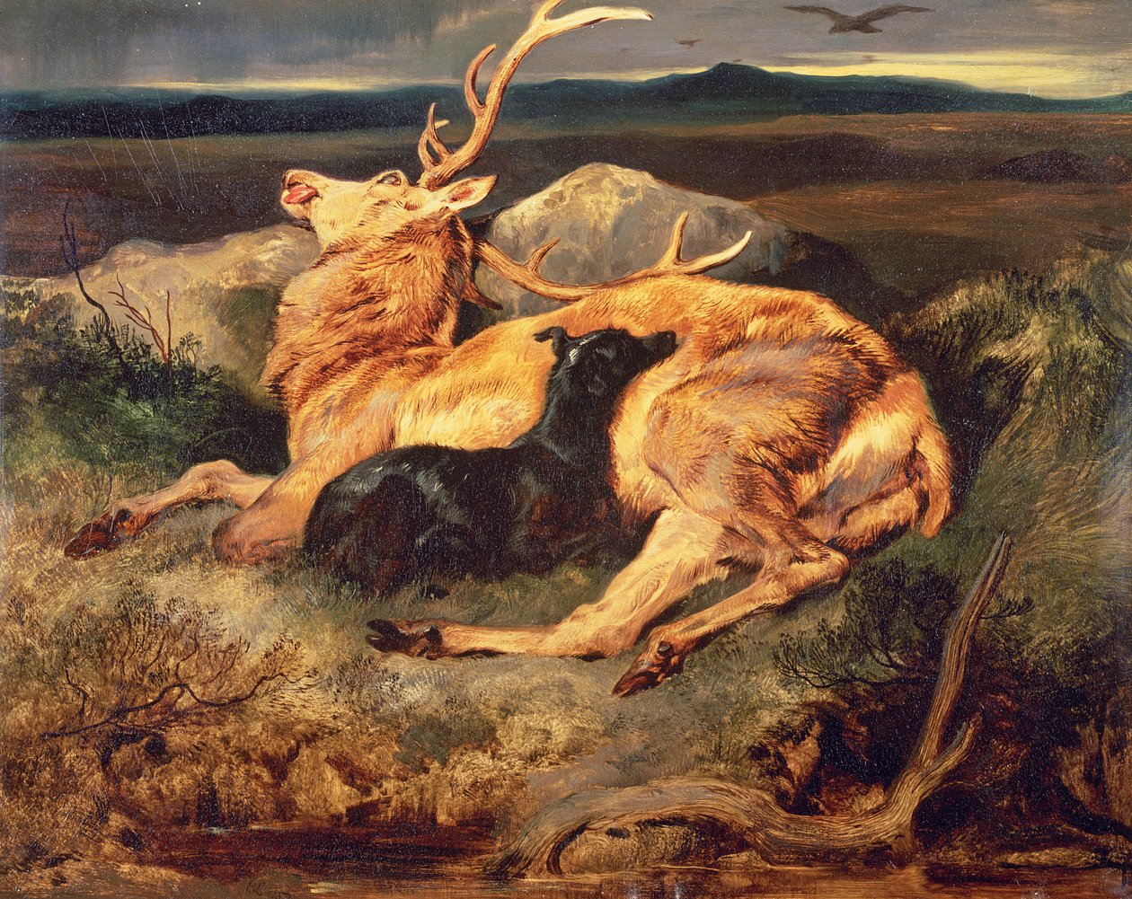 Hirsch von Edwin Landseer