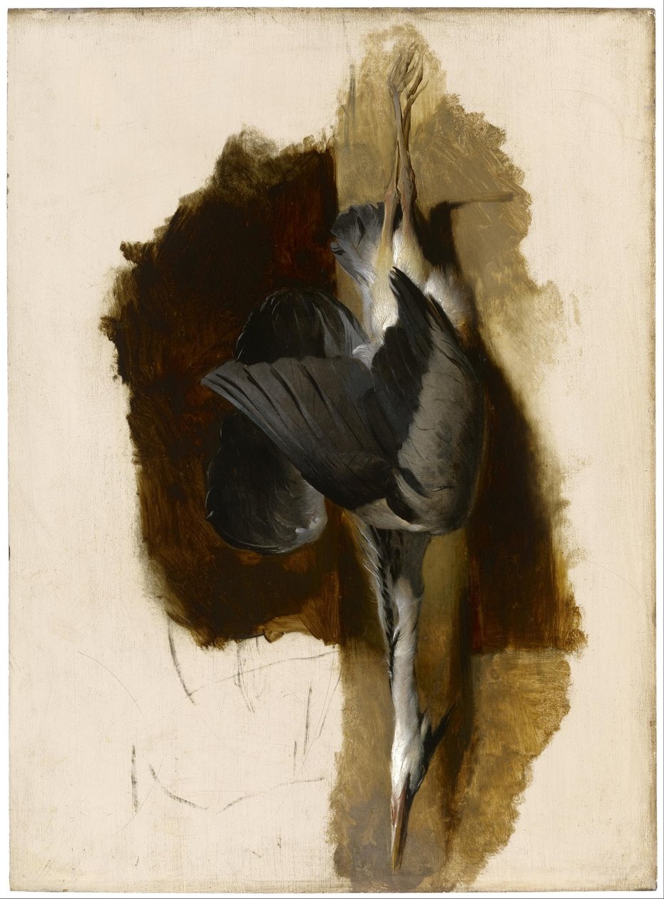 Studie eines toten Reihers von Edwin Landseer