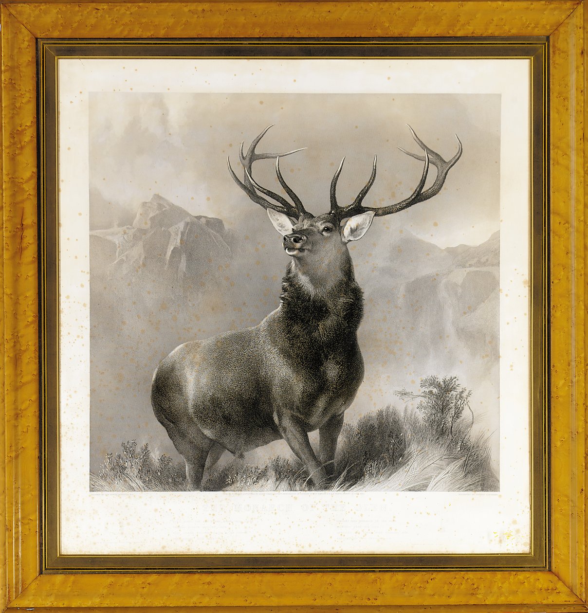 Der Monarch des Glen, 1852 von Edwin Landseer