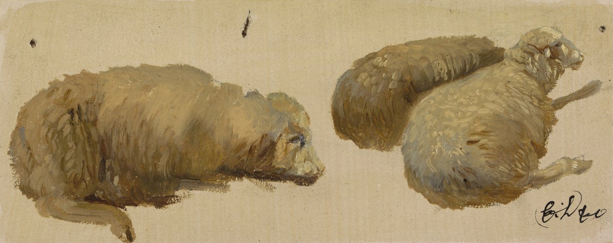 Drei ruhende Schafe von Edwin Landseer