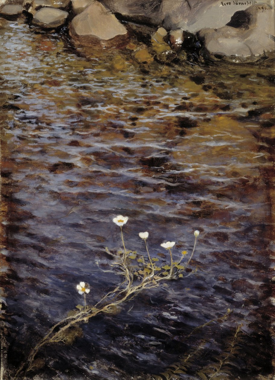 Teich-Hahnenfuß von Eero Järnefelt