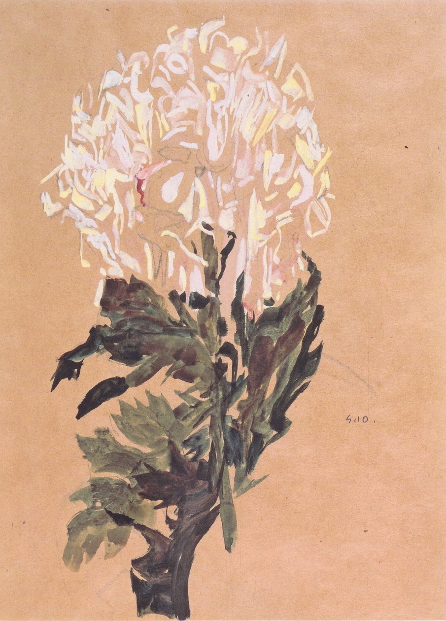 Weiße Chrysantheme von Egon Schiele