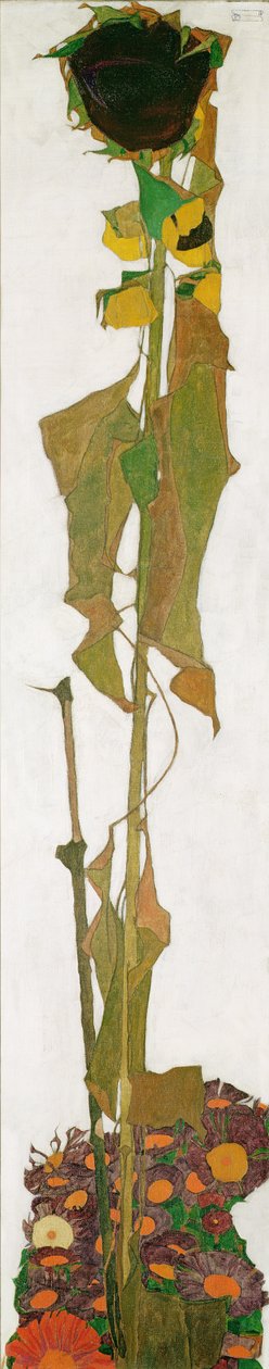 Sonnenblume von Egon Schiele